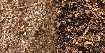 Cassava Residue